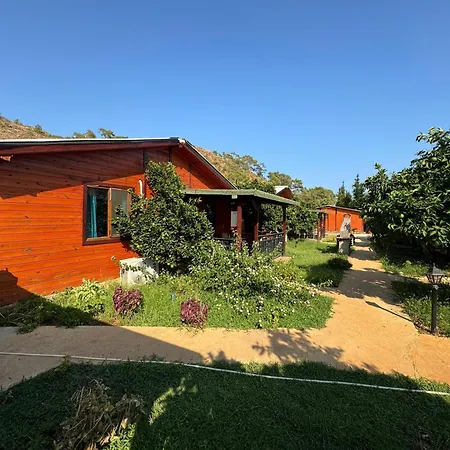 公寓式酒店 Anka