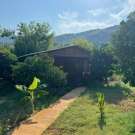 Anka Bungalov Kemer