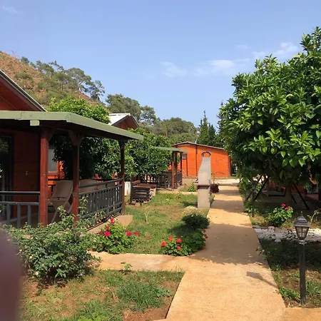 Anka Hotel apartamentowy Kemer