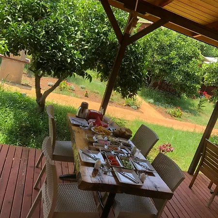 Hotel apartamentowy Anka Kemer